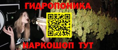 ГАЛЛЮЦИНОГЕННЫЕ ГРИБЫ Волгодонск
