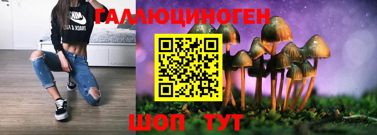 Нижнеудинск  Псилоцибиновые грибы прущие грибы  Вход с VPN 
